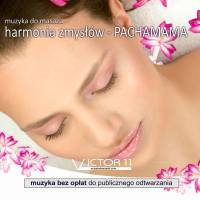 Pachamama - Muzyka do masażu 432 Hz. Muzyka na CD
